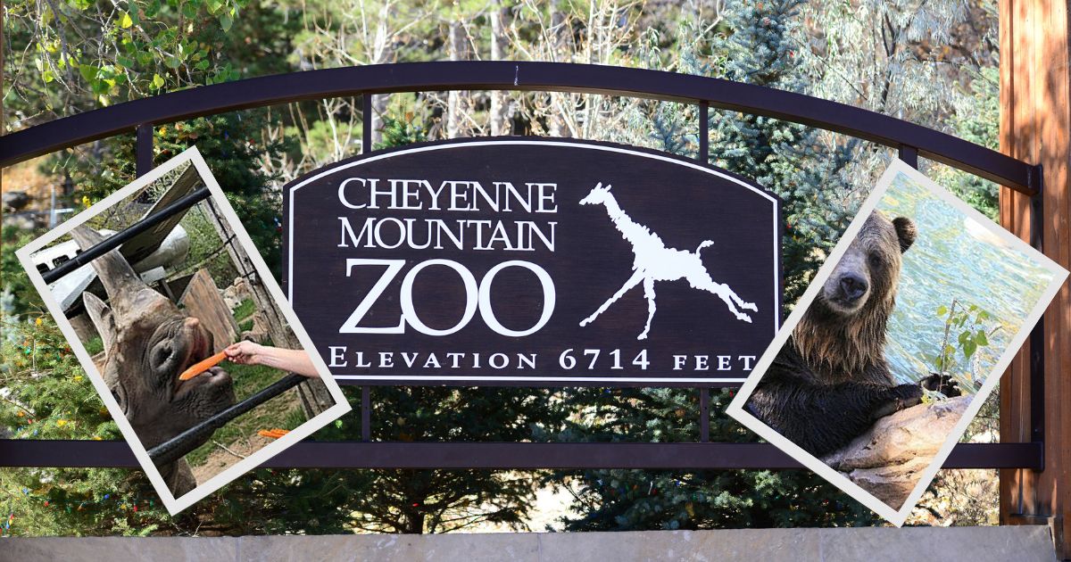cheyenne mountain zoo